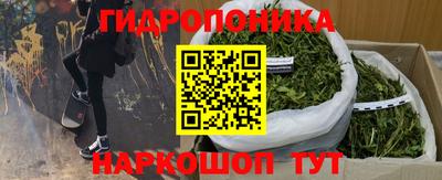 хмурый Гусев