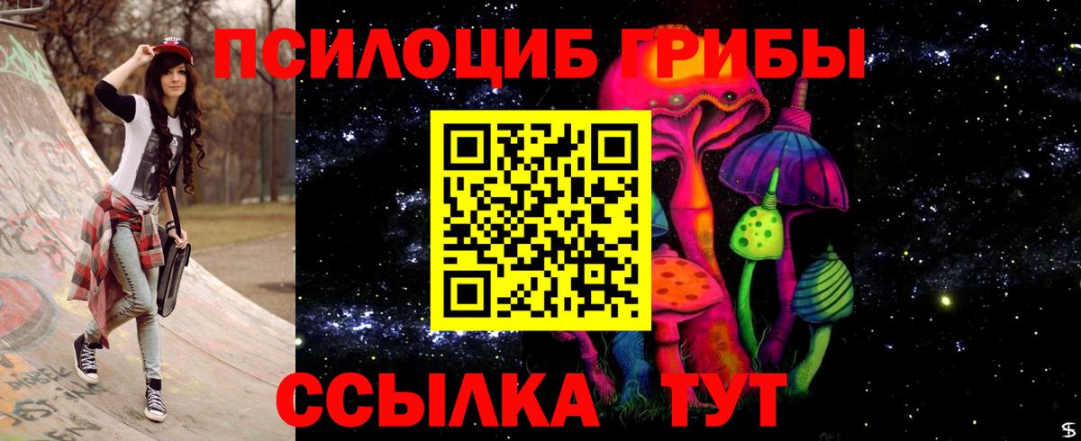 Псилоцибиновые грибы Psilocybe  Псилоцибиновые грибы GOLDEN TEACHER  Заволжье  Вход с VPN 