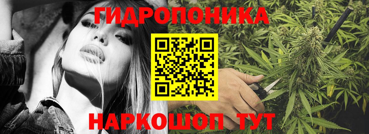 Заволжье  Бошки марихуана план  Бошки Шишки OG Kush  Бошки марихуана THC 21%  Вход с VPN  Бошки Шишки индика 